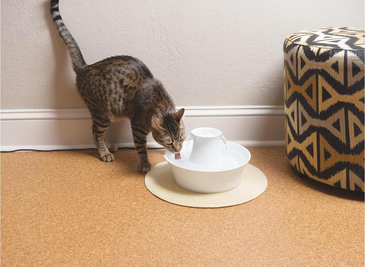 Image du produit Drinkwell PetSafe Avalon (2 l)