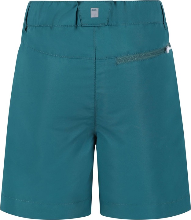 Actual product image Regatta Sorcer Ii Shorts (116)