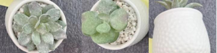 Immagine prodotto Arti Casa Pianta artificiale in vaso 3as