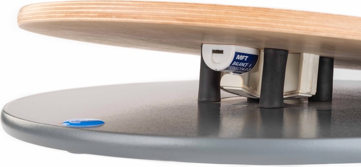 Actual product image MFT Fit Disc