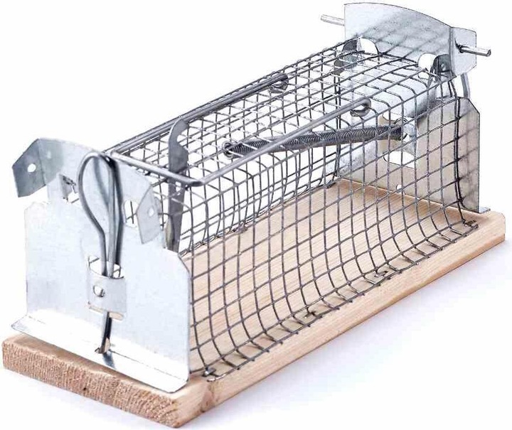 Actual product image Swissinno Living Trap Mouse Classic 1 pc