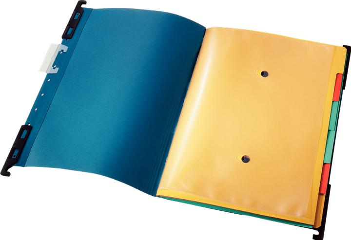 Actual product image Leitz File folder (A4, 1x)