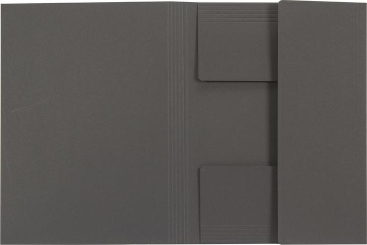 Image du produit Biella Collectionneur de fichiers Jura Recycolor (A4, 1 x)