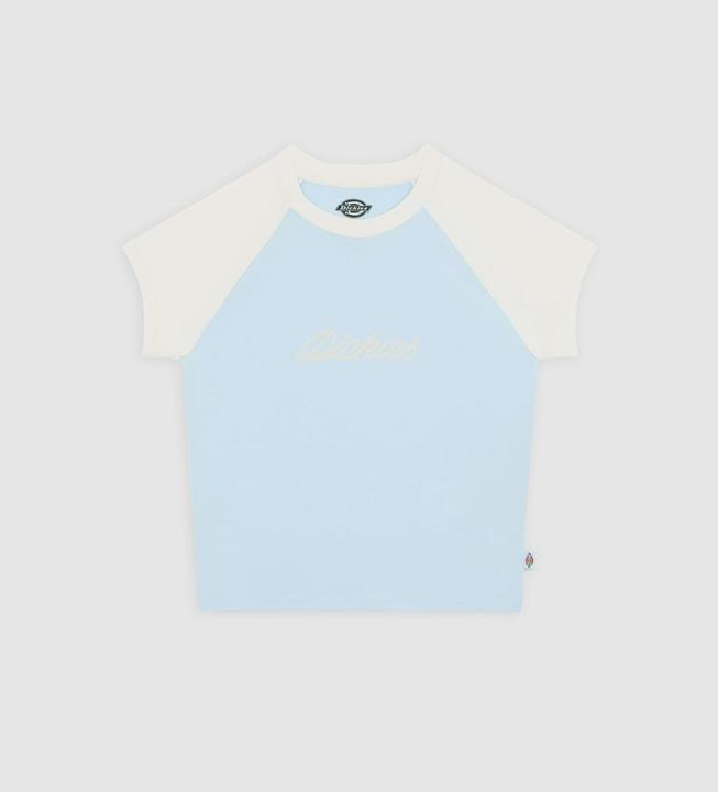 Actual product image Dickies Rope Ss Tee W Skyway (XS)