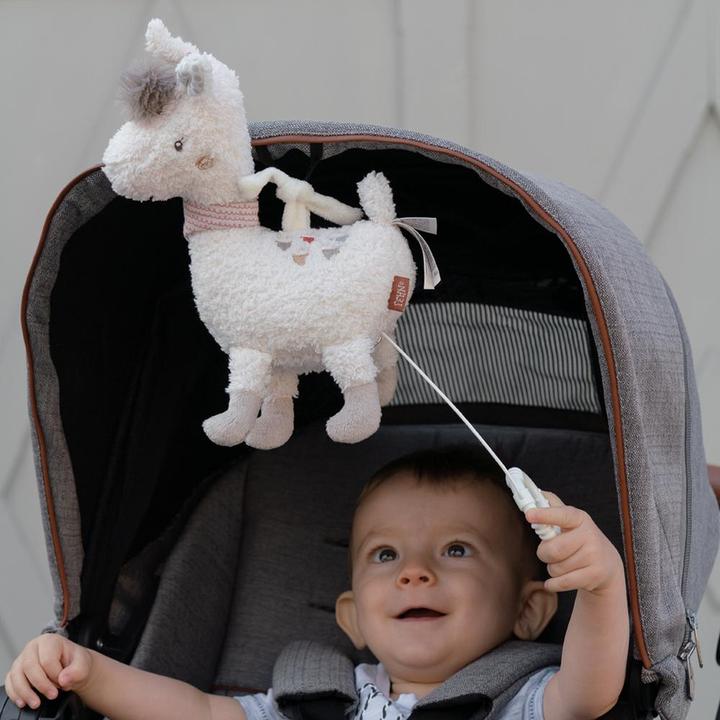 Actual product image Fehn Music box Lama