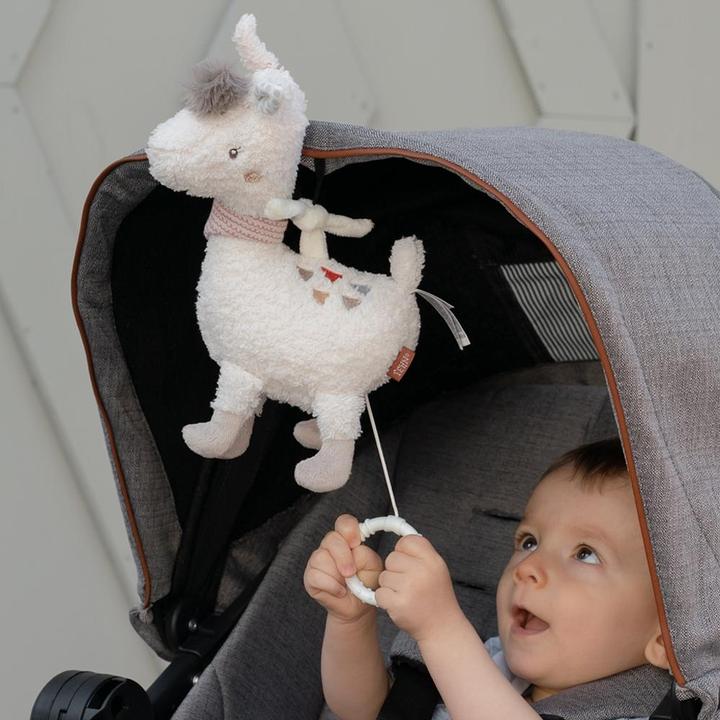 Actual product image Fehn Music box Lama