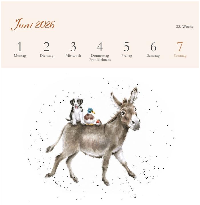 Produktbild Hannah Dale: Happy Animals Premium-Postkartenkalender 2026 (165 x 177 mm, Kein Einband, Deutsch)