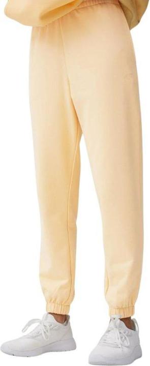 Immagine prodotto 4F Hose (XXL)