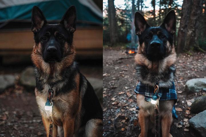 Produktbild Biolite Site Lights