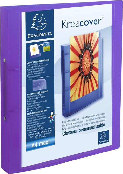 Actual product image Exacompta Folder (A4, 40 mm)