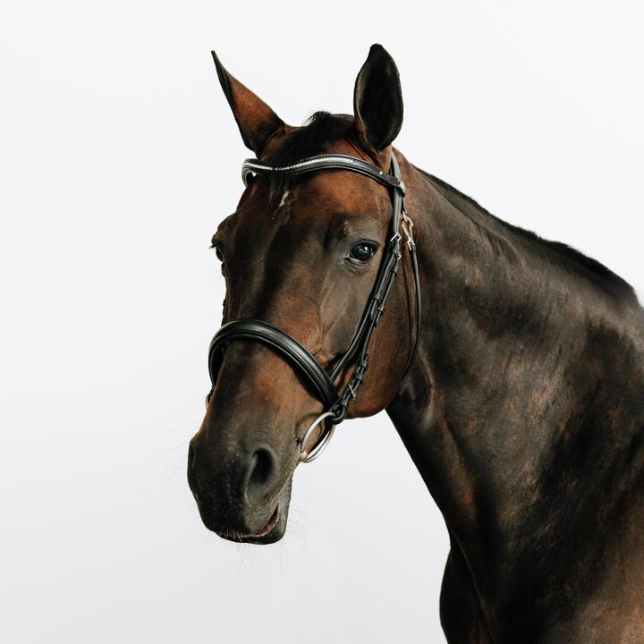 Immagine prodotto Fouganza Trense 580 Leder Strass schwarz