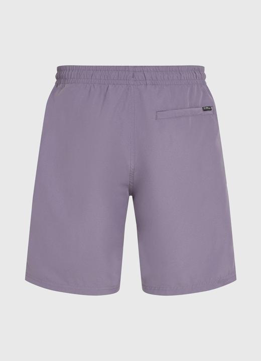 Image du produit O'Neill RETRO 19" SWIMSHORTS (XS)