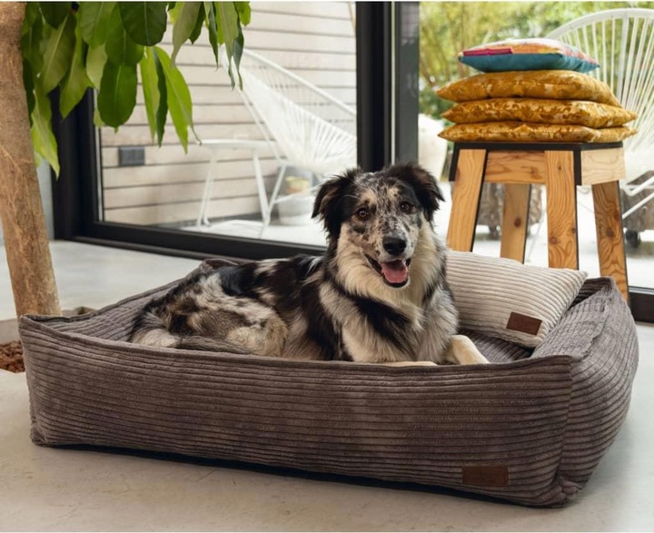 Actual product image Designed by Lotte Ribbed (Dog)