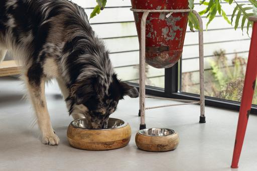 Produktbild Designed by Lotte Mandira (130 cl)