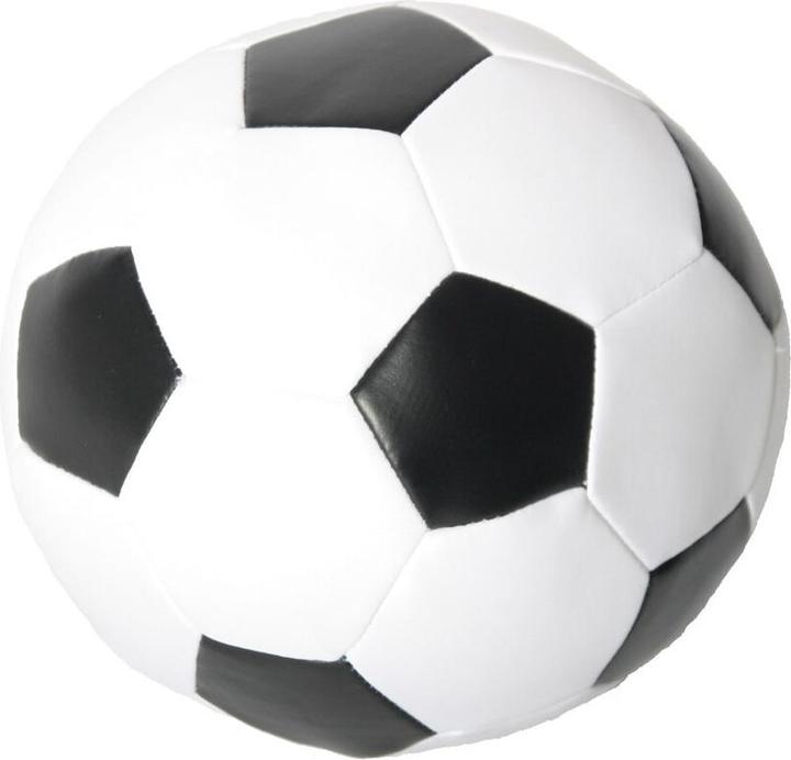 Martin Zachte Voetbal (Ballspielzeug Hund)