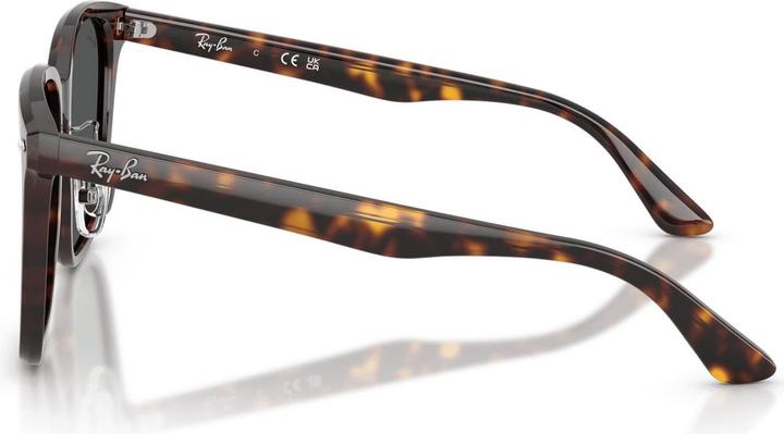 Actual product image Ray Ban RB2206D