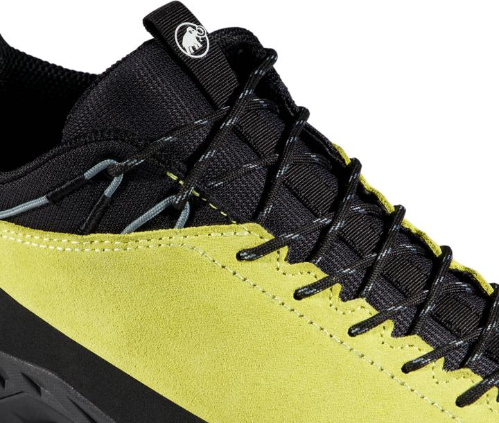 Produktbild Mammut Alnasca IV Low LTH Men (40)