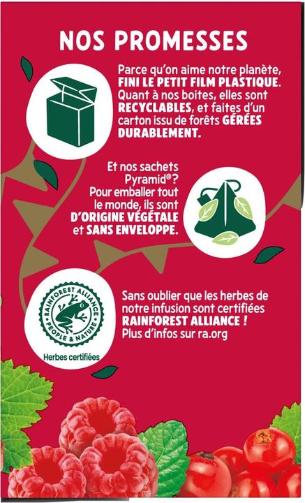 Produktbild Elephant Infusion Fruit Rouges (40 g)