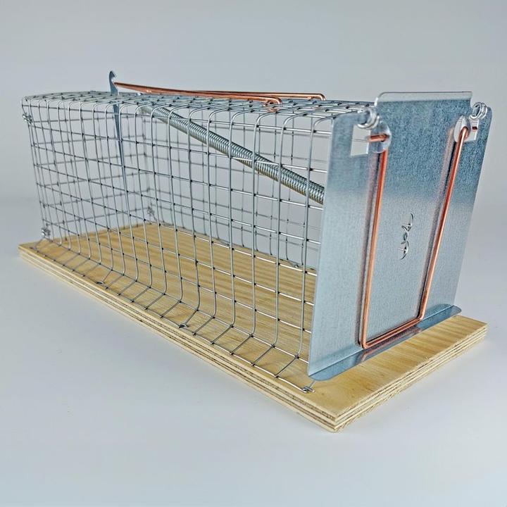 Produktbild Swissinno Lebendfalle Rat Classic 1 St.