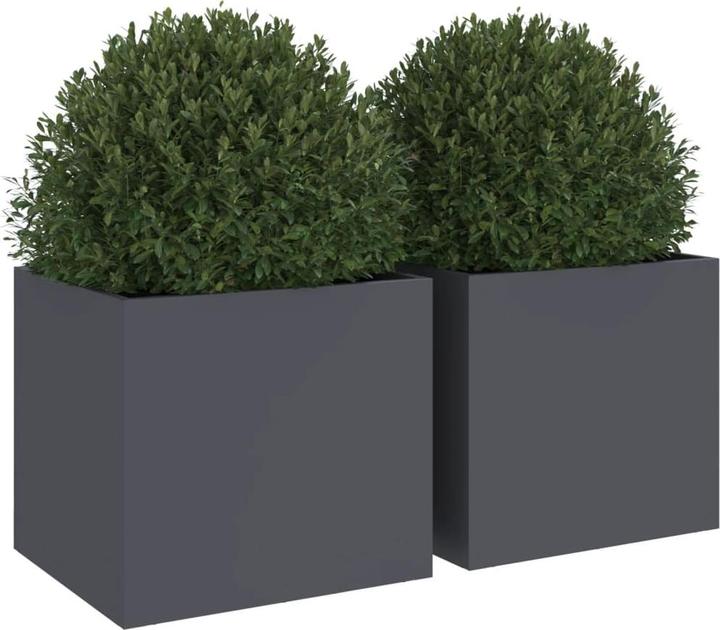 Actual product image vidaXL Pflanzkübel 2 Stk. Kaltgewalzter