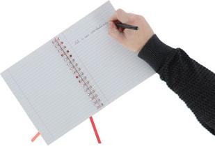 Immagine prodotto Sushi Sunday Collegeblok A5 (A5)