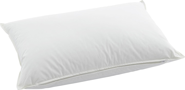 Immagine prodotto Swiss Dream by billerbeck Cuscino Piuma (50 x 90 cm)