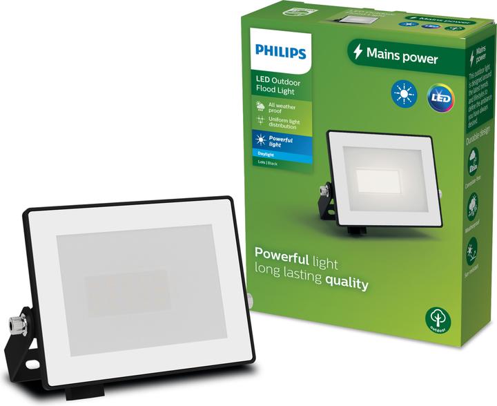 Actual product image Philips Outdoor Flutlicht Lois (950 lm, IP65)