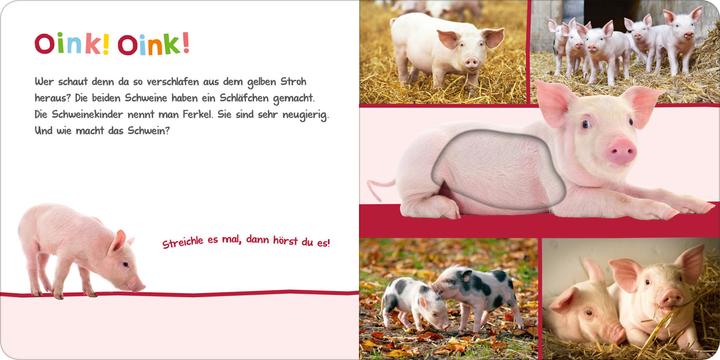 Immagine prodotto Hör mal rein, wer kann das sein - Im Stall (Tedesco)