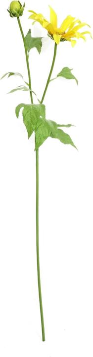 Actual product image HTI-Living Chrysantheme 74 cm Gelb (74 cm)