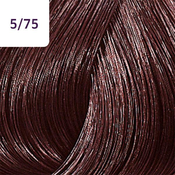 Actual product image Wella Color Touch Deep Browns (5/75 light brown brown-mahogany)