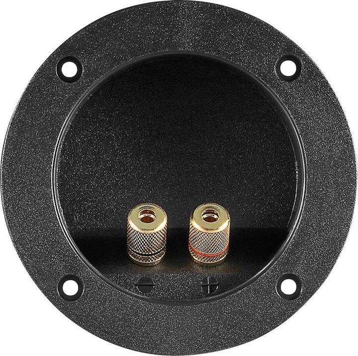 Goobay Lautsprecher Terminal