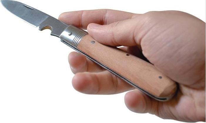 Actual product image Hesse Cable knife foldable (8.60 cm)