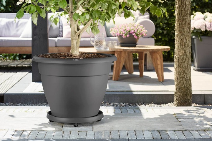 Actual product image Elho Coaster with wheels 30 cm anthracite