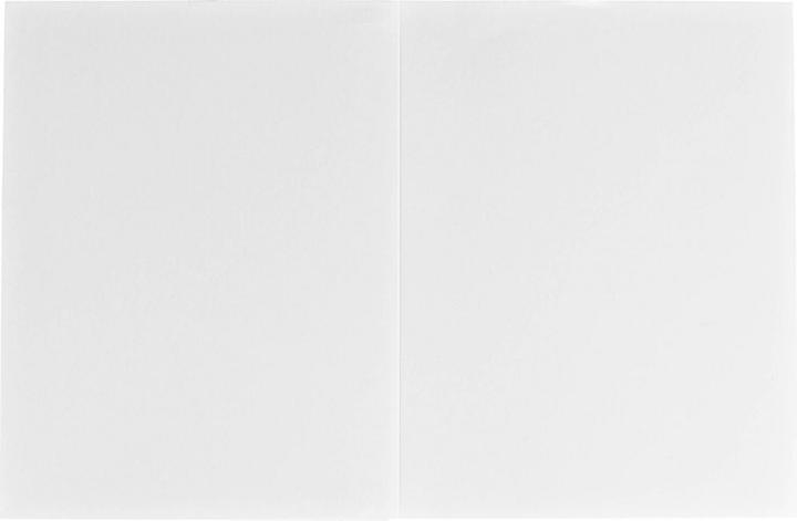 Actual product image Daiber 1x100 Portrait folders Profi-Line 10x15 (10 x 15 cm)