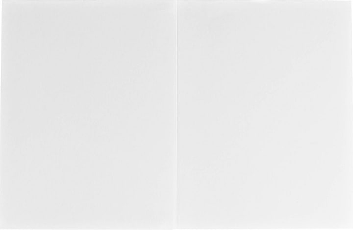 Produktbild Daiber 1x100 Portraitmappen Profi-Line 10x15 (10 x 15 cm)