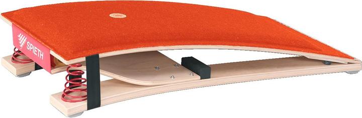 Spieth Sprungbrett Ergotop 2