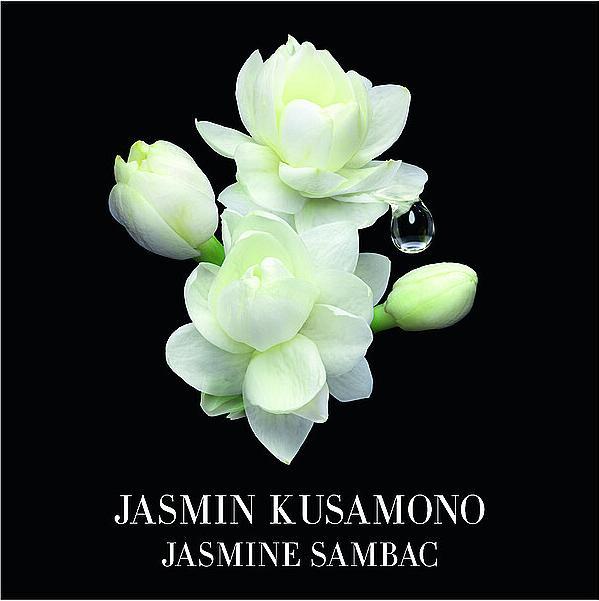 Produktbild Giorgio Armani Jasmin Kusamono (Eau de Toilette, 50 ml)