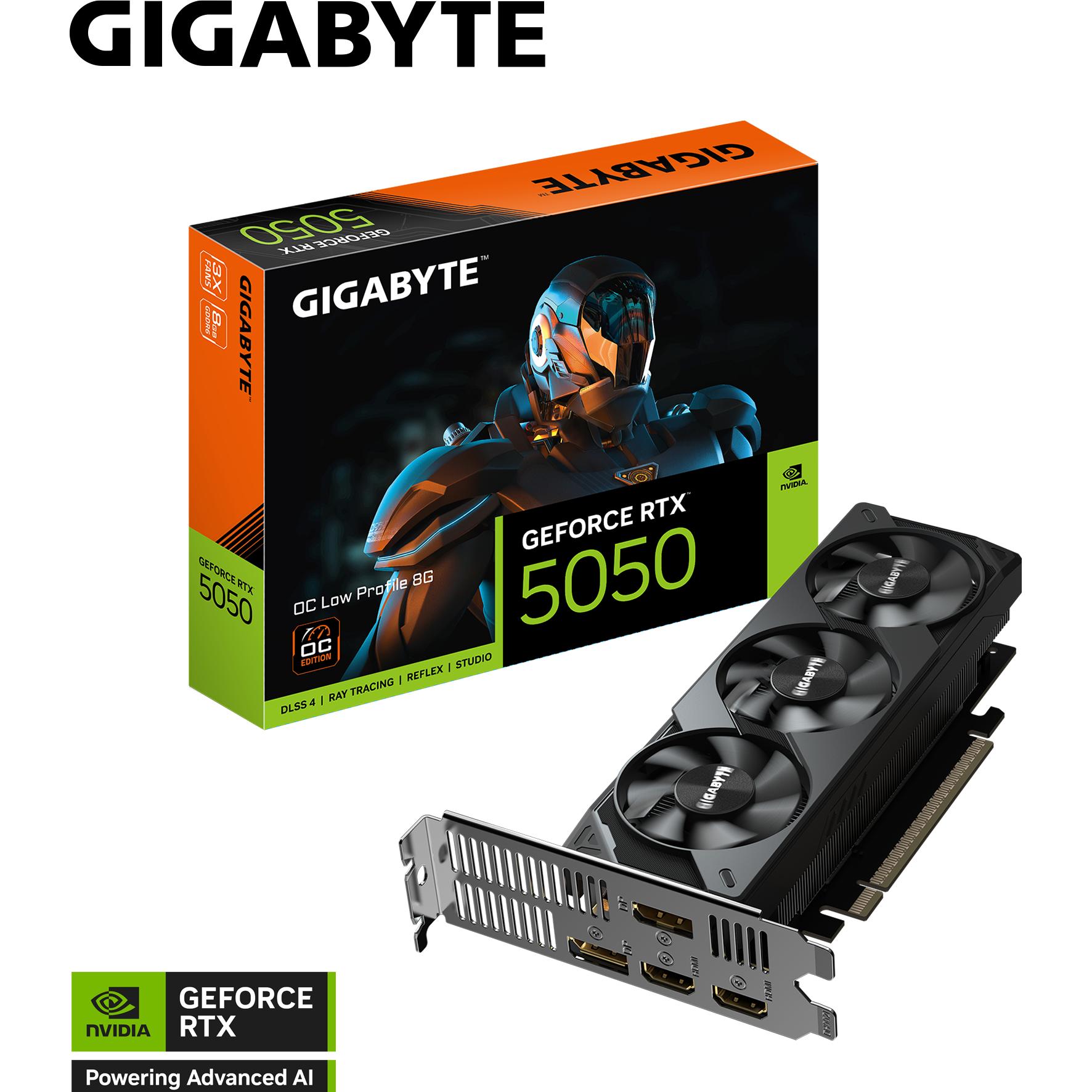 Gigabyte GeForce RTX 5050 OC Low Profile (8 GB), Grafikkarte