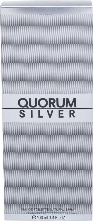 Image du produit Antonio Puig Quorum Silver (Eau de toilette, 100 ml)