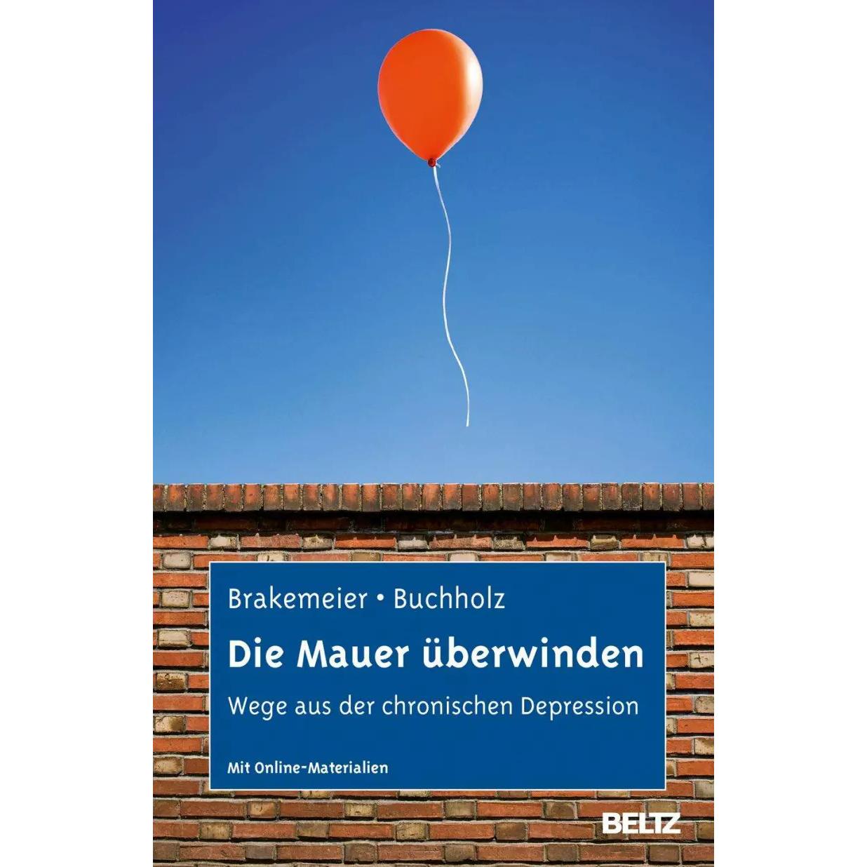 Thumbnail - Die Mauer überwinden, Fachbücher von Eva-Lotta Brakemeier, Angela Buchholz