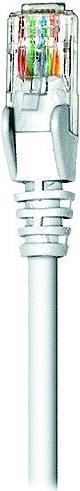 Actual product image Intellinet Network cable (U/UTP, CAT6, 0.50 m)