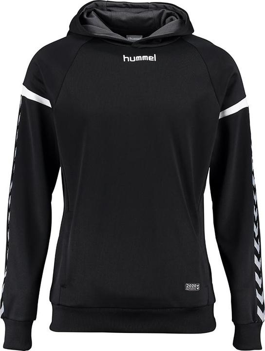 Produktbild hummel Authentic Charge Poly Hoodie (M)