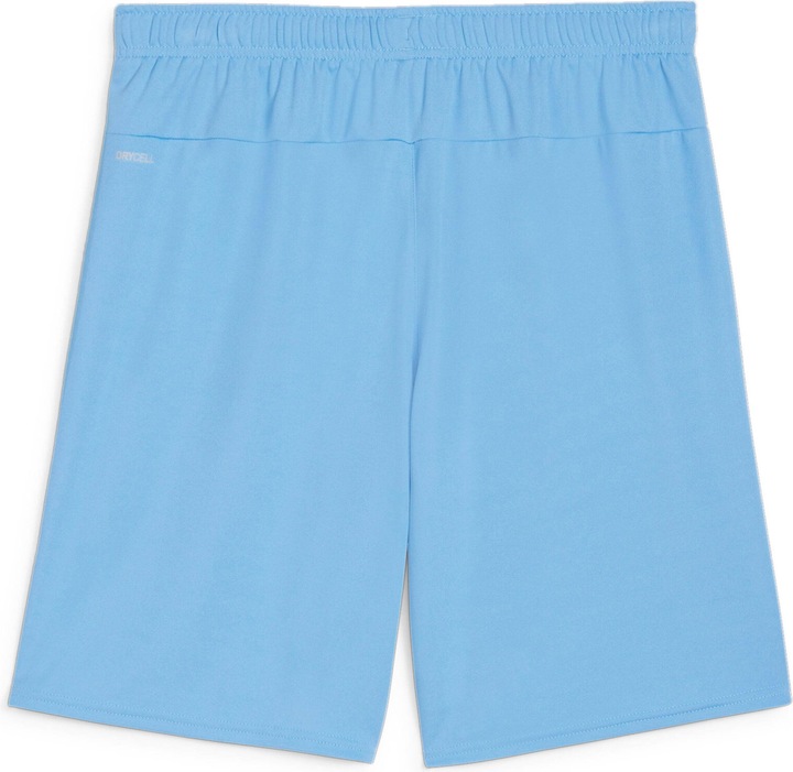 Actual product image Puma teamGOAL shorts (XL)