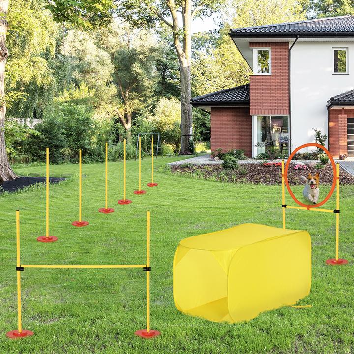 Immagine prodotto PawHut Set di agilità per 4 diverse varianti di allenamento (Destrezza)