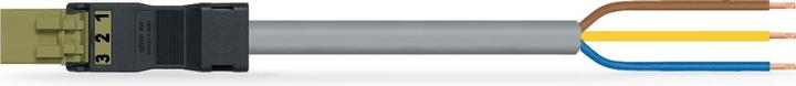 Actual product image Wago confect. Connection cable (3 m)