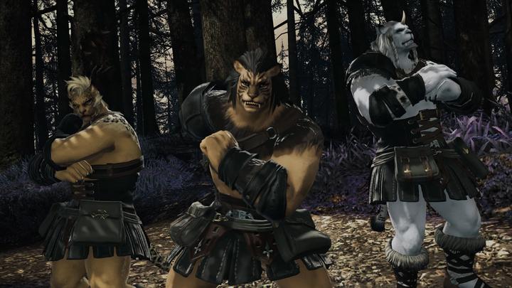 Image du produit Square Enix Final Fantasy XIV Shadowbringers (PS4, Multilingue)