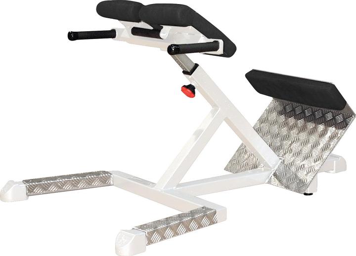 Actual product image Sport-Thieme Back extensor SQ