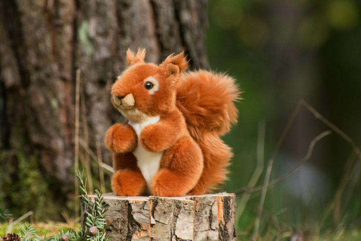 Actual product image Teddy Hermann Squirrel 14cm (14 cm)