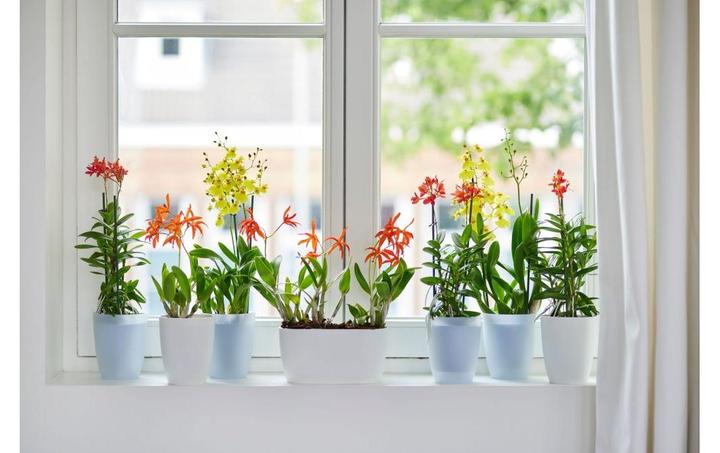 Image du produit Elho Brussels (13 x 15 cm)