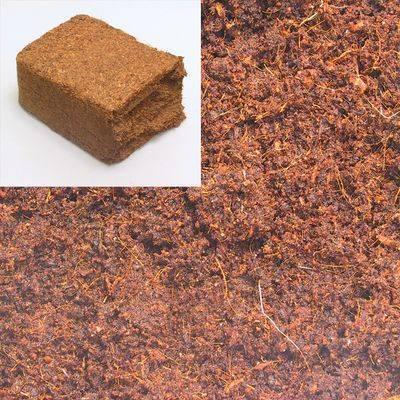 Produktbild JBL Aquaristik und Terraristik TerraCoco Humus, 650 g